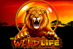 online slot