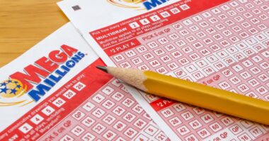 lottery online